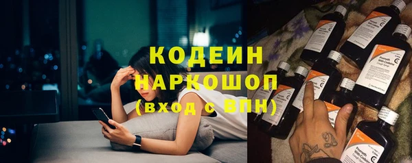 сатива Беломорск
