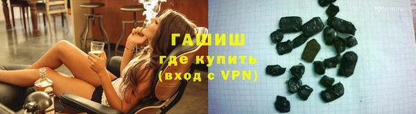 сатива Беломорск