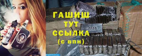 сатива Беломорск