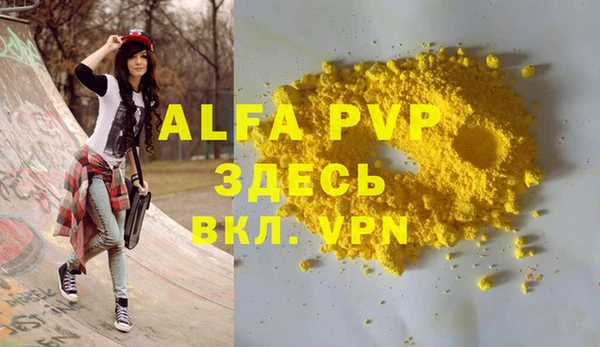 сатива Беломорск
