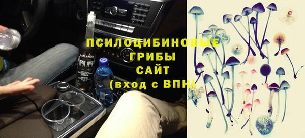 сатива Беломорск