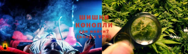 PSILOCYBIN Белоозёрский