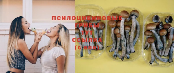 сатива Беломорск