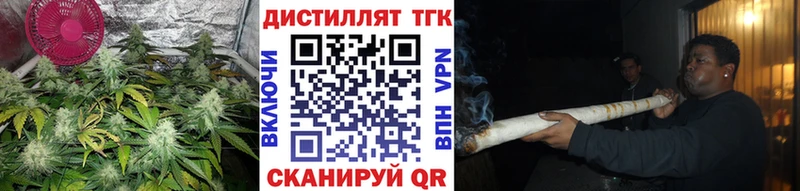 Купить закладки  Камешково  ТГК жижа 